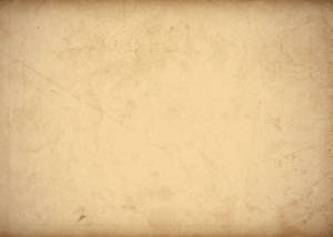 Vintage Plain Old Paper Wallpaper