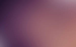 Violet Tones Gradient Wallpaper