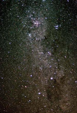 Visible Star Canopy Wallpaper