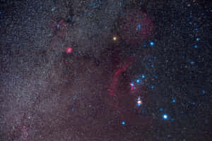 Visible Star Points Wallpaper