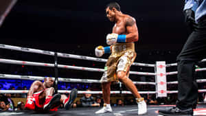 Vitor Belfort In His Triumphant Match Against Evander Holyfield In The 2021 Triller Match. Wallpaper