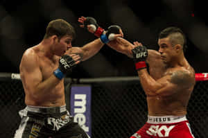 Vitor Belfort Middleweight Fight With Michael Bisping Wallpaper