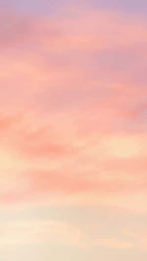 Vivid Aesthetic Colors Wallpaper
