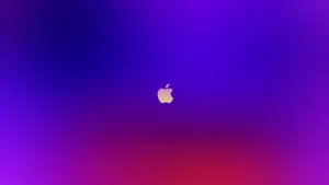 Vivid Apple 4k Ultra Hd Gradient Wallpaper