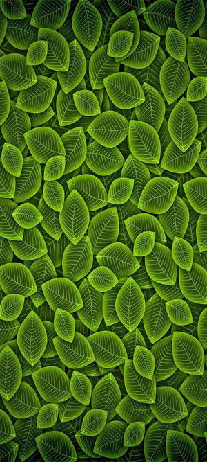 Vivo Y20 Green Leaf Pattern Wallpaper