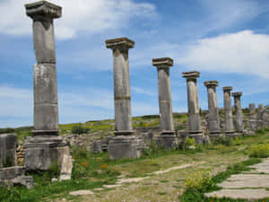 Volubilis Columns On Grass Wallpaper