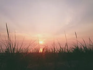 Vsco Laptop Sunset Beyond Grass Wallpaper