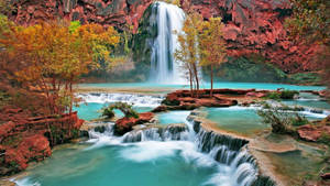 Waterfall Hd Red Rocks Of Havasu Falls Wallpaper