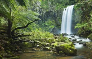 Waterfall Nature Scenes Wallpaper