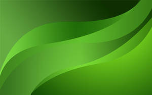 Wavy Green Abstract Wallpaper