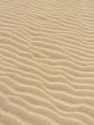 Wavy Sand Pattern Scheme Wallpaper