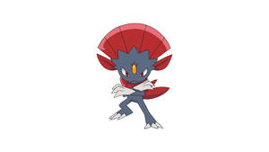 Weavile Preparing Attack Wallpaper