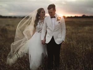 Wedding Couple Sunset Field Wallpaper