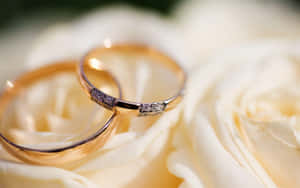 Wedding Ring On White Roses Selective Shot Wallpaper