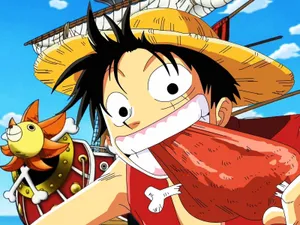 Weird Pfp Luffy Eating Wallpaper