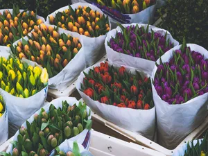 Welcome April With A Beautiful Bouquet Of Colorful Flowers Wallpaper