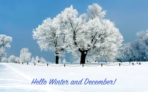 Welcome December 1920 X 1200 Wallpaper