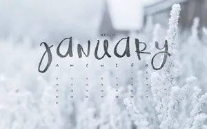 Welcome In The New Year With Hello January! Wallpaper