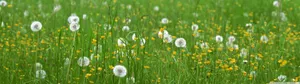 Welcome The New Seasons In Style Wallpaper