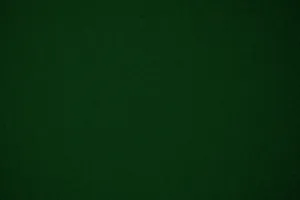 Welcome To The Enchanting Forest Green Landscape Wallpaper