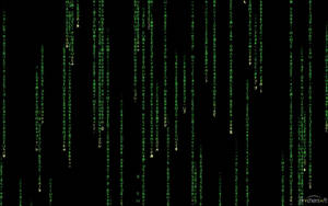 Welcome To The Matrix Wallpaper