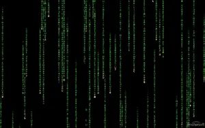 Welcome To The Matrix Wallpaper