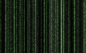 Welcome To The Matrix Wallpaper