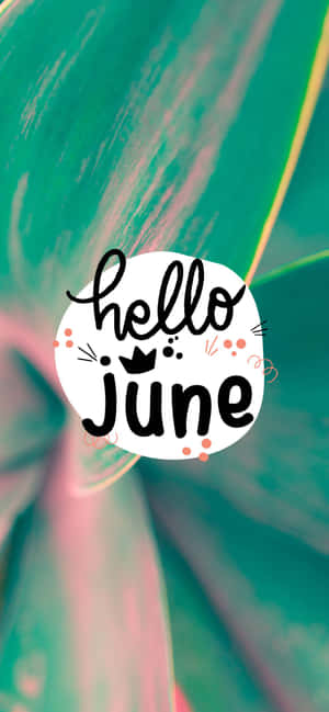 Welcoming June, Embrace The Sunshine Wallpaper