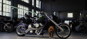 West Coast Choppers Purple Chopper Wallpaper