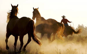 Western Cowboy Holding A Lasso Wallpaper