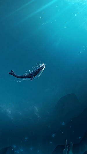 Whale Under The Ocean Wallpaper