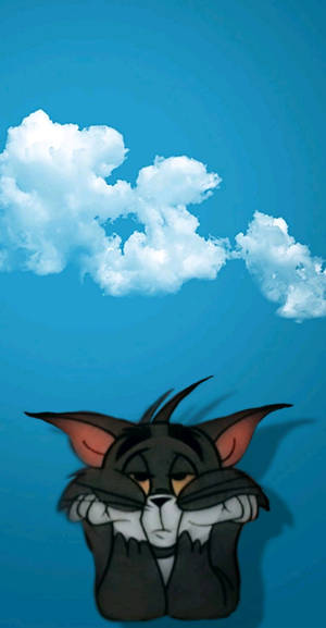 Whatsapp Dp Cat Tom Wallpaper