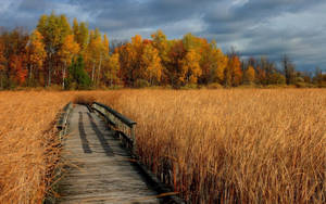 Wheat Field With Bridge Wallpaper