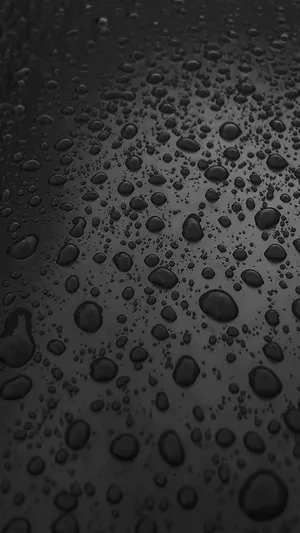 “where Are You, My Friend?” Wallpaper