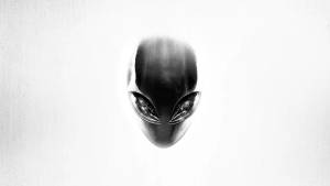 White Alienware Black Head Wallpaper