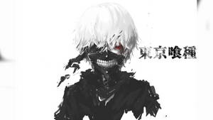 White Anime Ken Kaneki Tokyo Ghoul Wallpaper