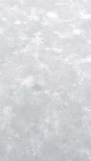 White Background Wallpaper Wallpaper