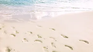 White Beach Footprints Wallpaper