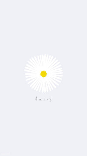 White Daisy Flower Iphone Art Wallpaper