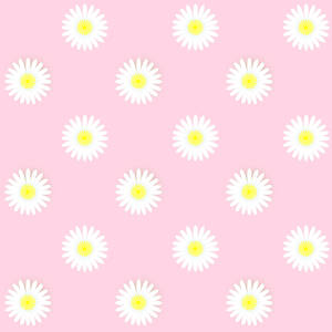 White Daisy Patterned In Pastel Pink Wallpaper