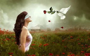 White Dove Rose Wallpaper