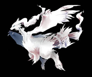 White Dragon Reshiram Black Backdrop Wallpaper