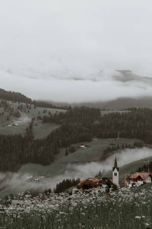 White Flowers Foggy Hill View Wallpaper