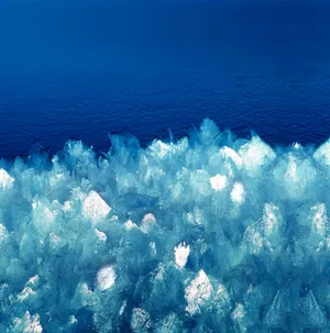 White Flowers Painting Galaxy Note 4 Wallpaper