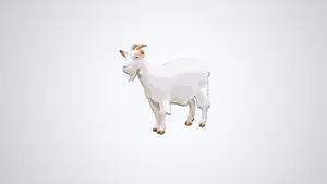 White Goat Digital Art Wallpaper