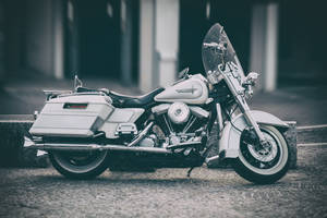 White Harley Davidson Side View Wallpaper