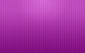 White Lines In Violet Plain Color Wallpaper