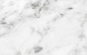 White Marble Texture With Black And White Wallpaper