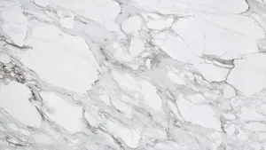 White Marble With Black And White Patterns Wallpaper