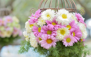 White Pink Chrysanthemums Basket Wallpaper